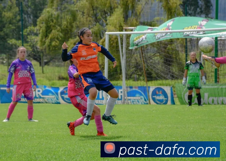 大发彩票APP 封面图